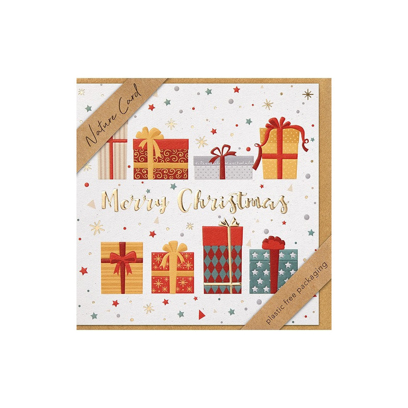 CARTE VOEUX NOEL BSB NATURE CARD