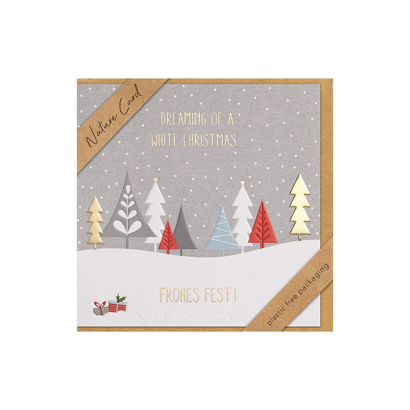 CARTE VOEUX NOEL BSB NATURE CARD