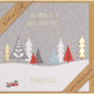 CARTE VOEUX NOEL BSB NATURE CARD