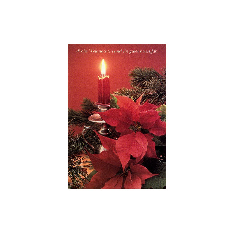 CARTE VOEUX NOEL BSB
