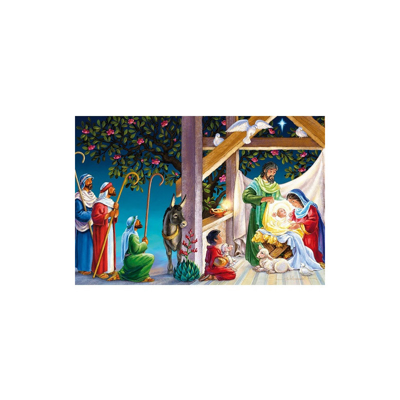 CARTE VOEUX NOEL BSB