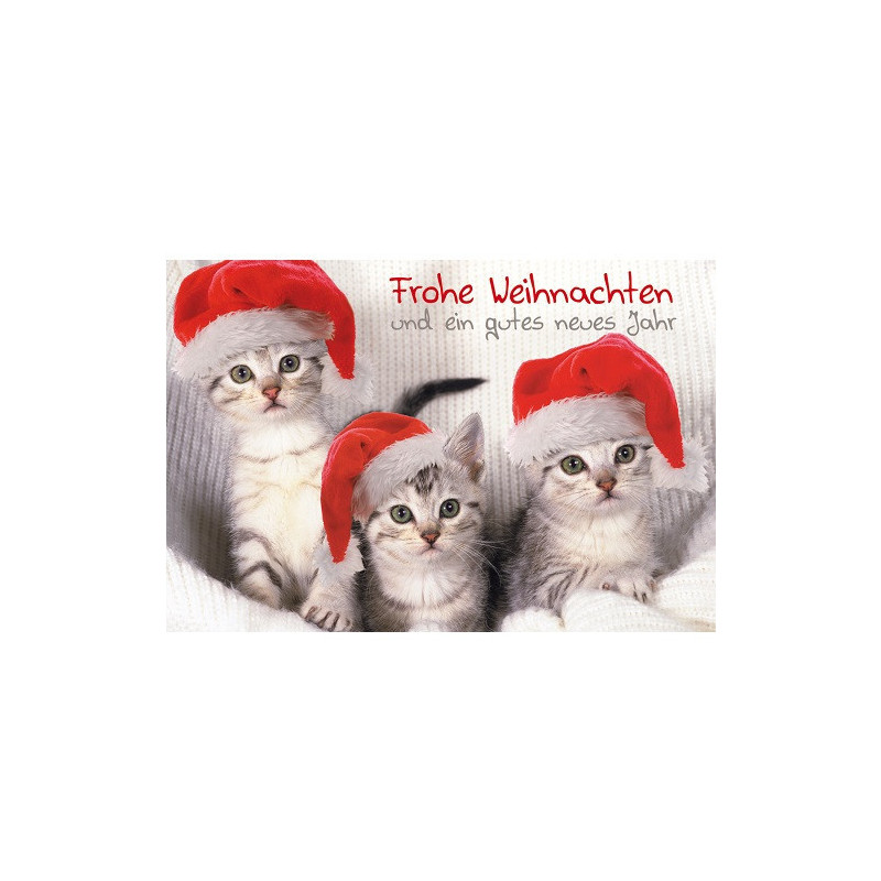 CARTE VOEUX NOEL BSB