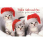 CARTE VOEUX NOEL BSB