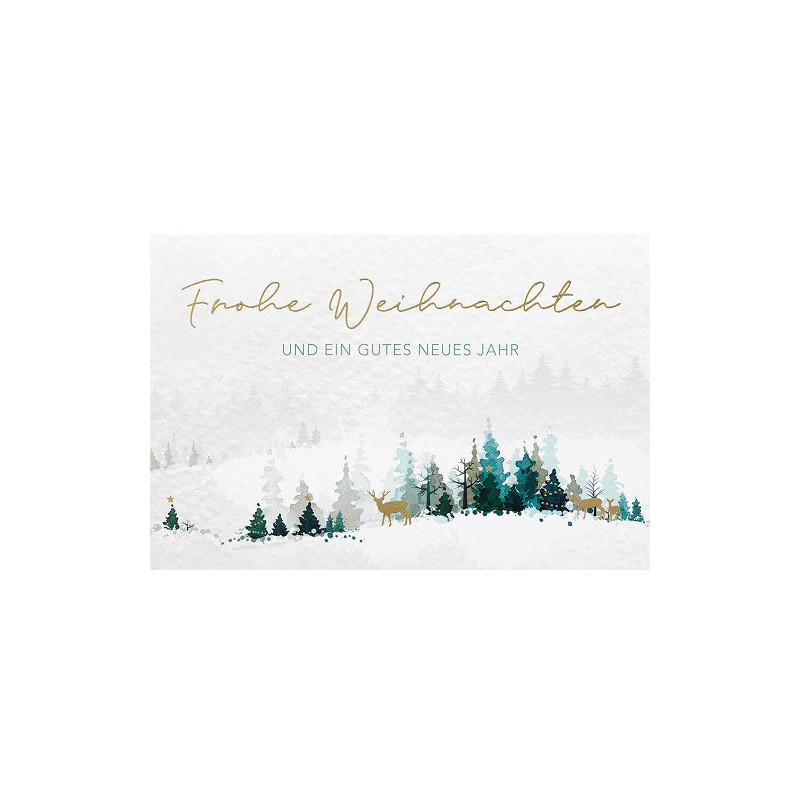 CARTE VOEUX NOEL BSB