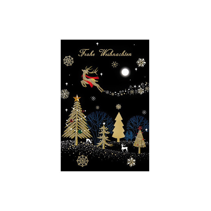 CARTE VOEUX NOEL BSB