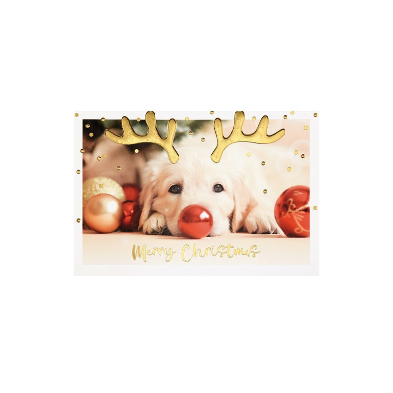 CARTE VOEUX NOEL BSB NATURE CARD