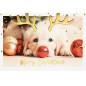 CARTE VOEUX NOEL BSB NATURE CARD