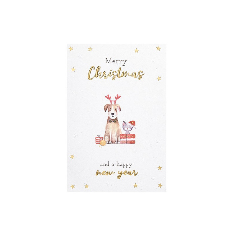 CARTE VOEUX NOEL BSB NATURE CARD