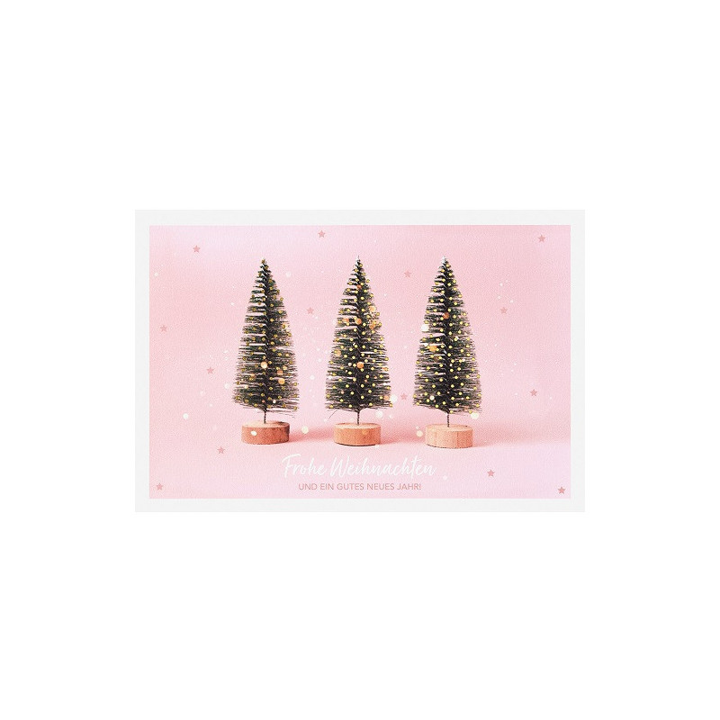 CARTE VOEUX NOEL BSB NATURE CARD