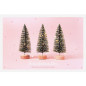 CARTE VOEUX NOEL BSB NATURE CARD