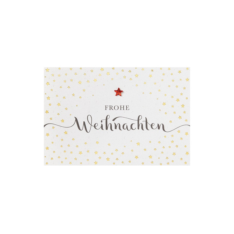 CARTE VOEUX NOEL BSB NATURE CARD