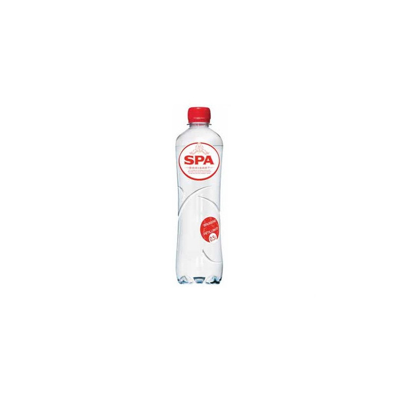BOISSON EAU GAZEUSE SPA 24X0,5L