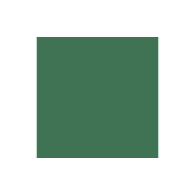 PAPIER DESSIN 50X70 130G VERT FONCÉ 25PCS