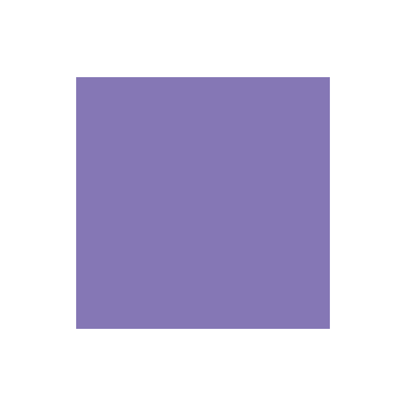 PAPIER DESSIN 50X70 130G LILAS 25PCS