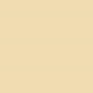 PAPIER DESSIN 50X70 300G BEIGE 25PCS