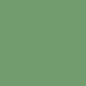PAPIER DESSIN 50X70 300G VERT FEUILLAGE 25PCS