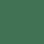 PAPIER DESSIN 50X70 300G VERT FONCÉ 25PCS