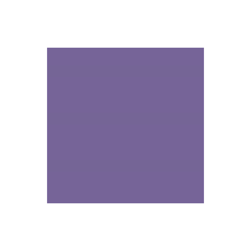 PAPIER DESSIN 50X70 300G MAUVE 25PCS
