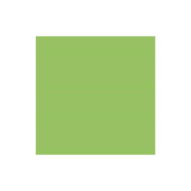 PAPIER DESSIN 50X70 130G VERT PRINTEMPS