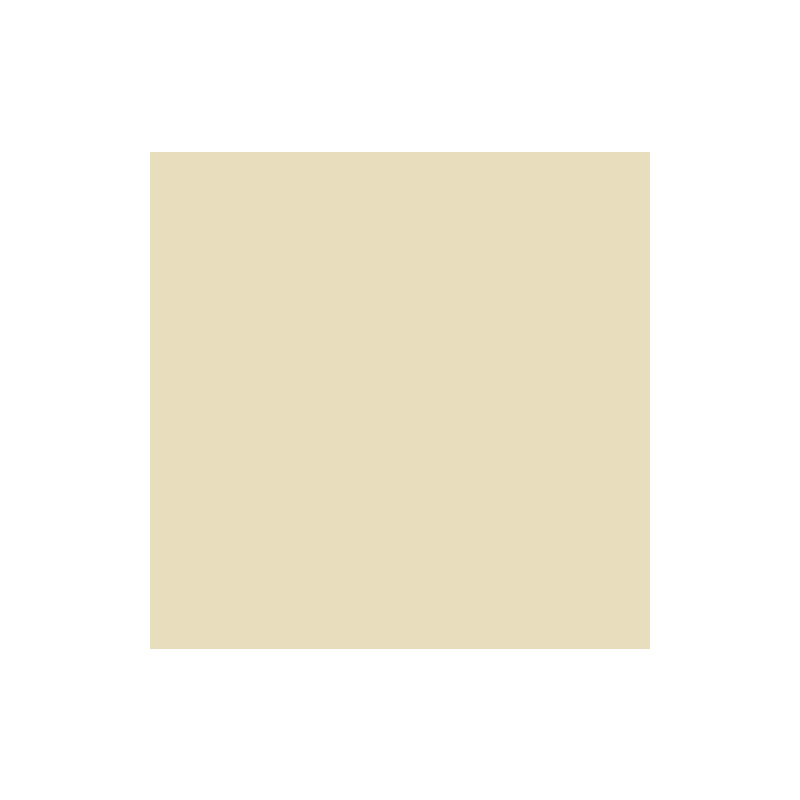 PAPIER DESSIN 50X70 300G CHAMOIS