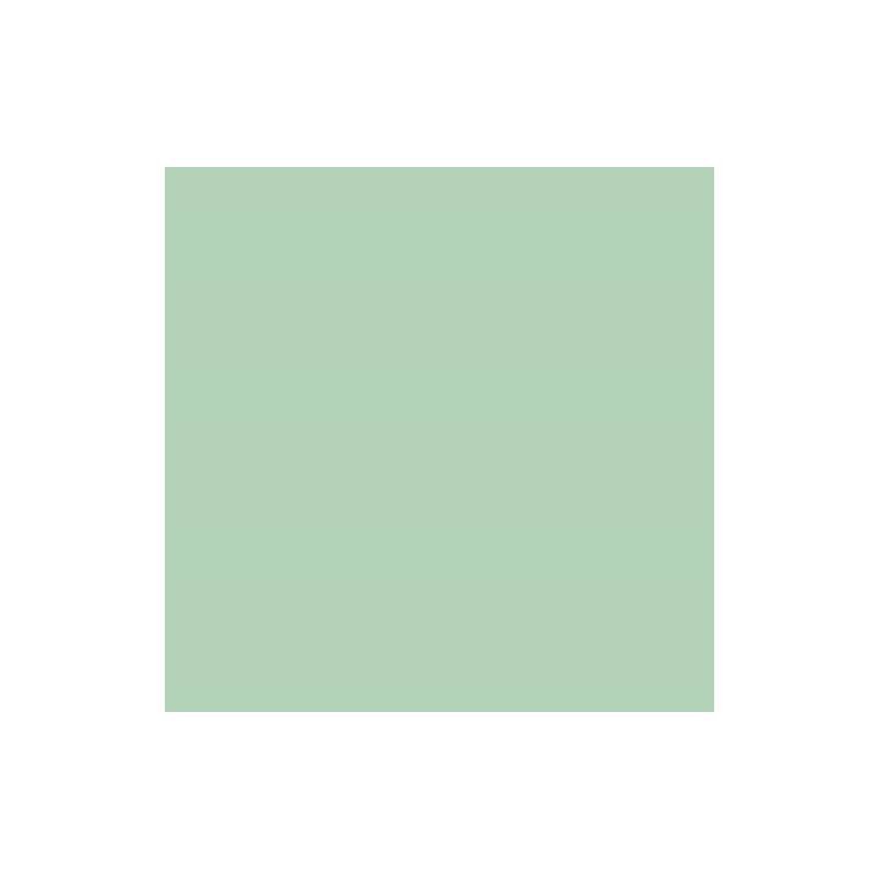 PAPIER DESSIN 50X70 300G VERT MENTHE