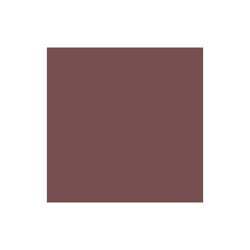 PAPIER DESSIN 50X70 300G BRUN CHOCOLAT