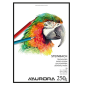 BLOC DESSIN BLANC 210X297MM A4 250G AURORA STEINBACH