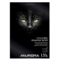 BLOC DESSIN COULEUR 210X297MM A4 120G 20FLS AURORA