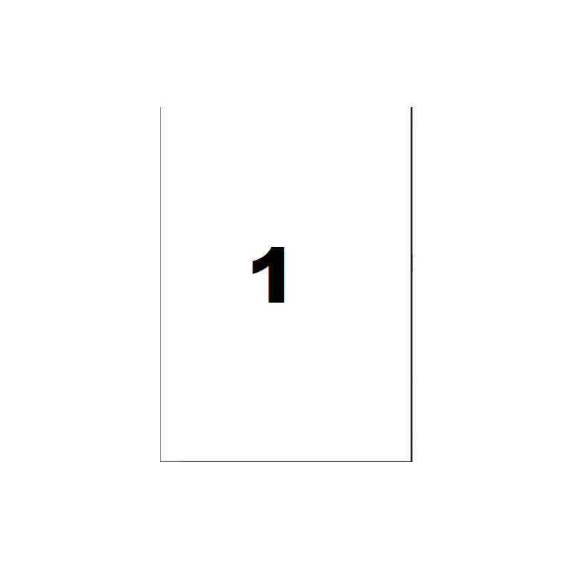 ETIQUETTE MULTICOM A4 210X297MM 100FLS