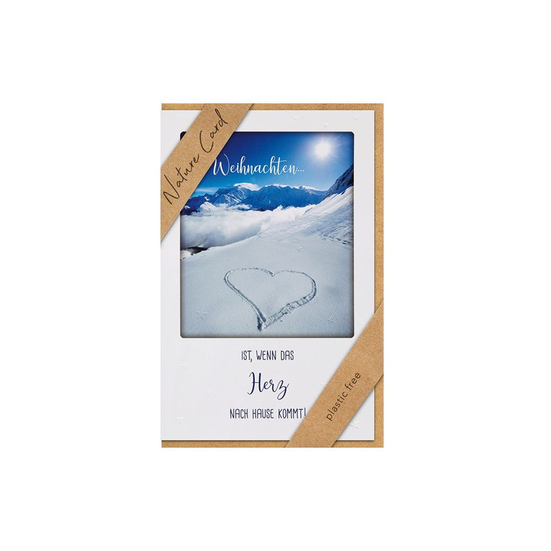 CARTE VOEUX NOEL BSB NATURE CARD