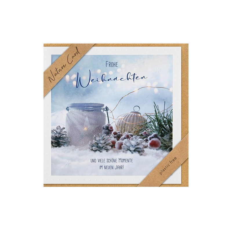 CARTE VOEUX NOEL BSB NATURE CARD