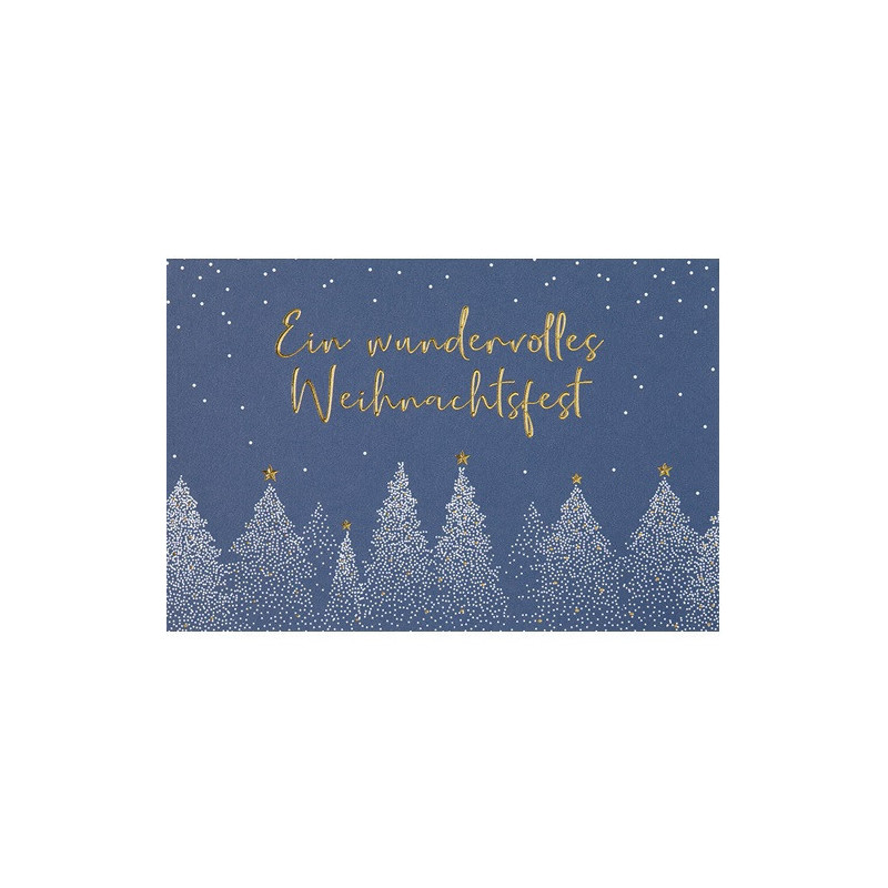 CARTE VOEUX NOEL BSB NATURE CARD
