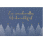 CARTE VOEUX NOEL BSB NATURE CARD