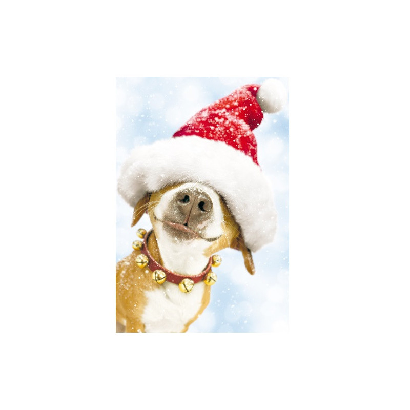 CARTE VOEUX NOEL BSB
