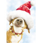 CARTE VOEUX NOEL BSB