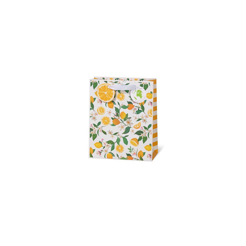 SACHET BSB 23X19X9CM LEMON