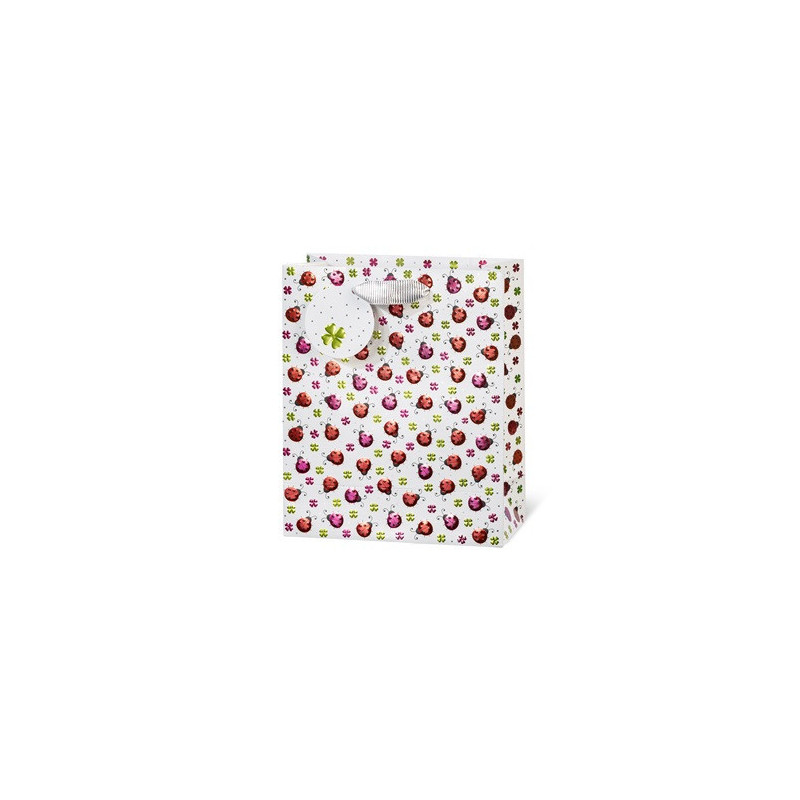 SACHET BSB 23X19X9CM GLITZERKAFER