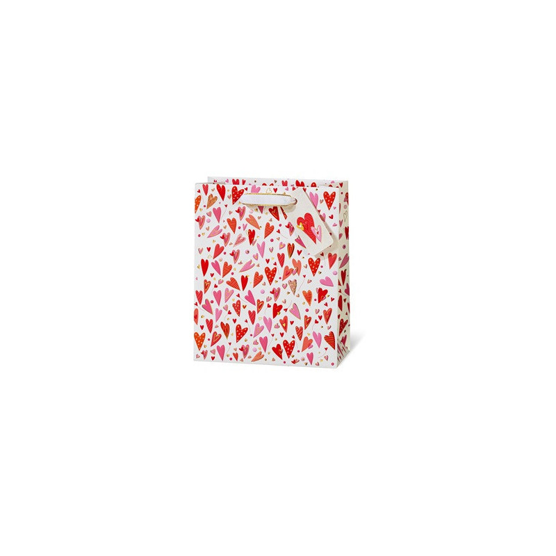 SACHET BSB 23X19X9CM RED HEART