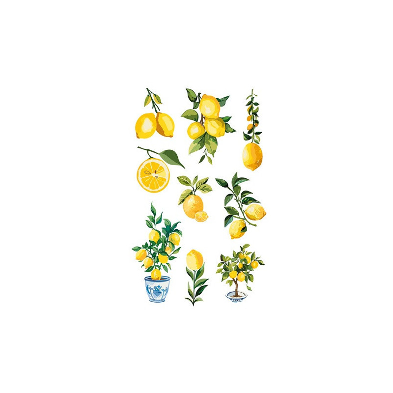 AUTOCOLLANT BSB DECO-STICKER