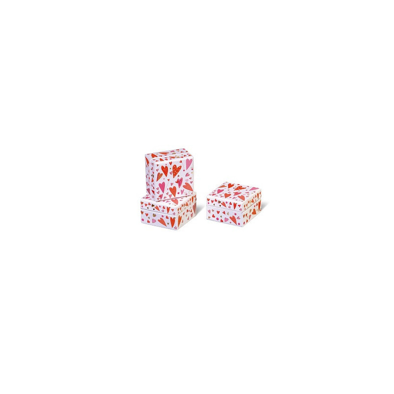 BOITE CADEAU BSB COLLECTION MINI RED HEARTS