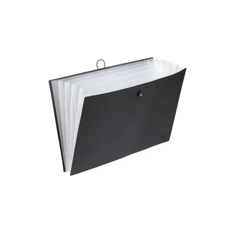 TRIEUR ACCORDEON VIQUEL A3 6 COMP. NOIR