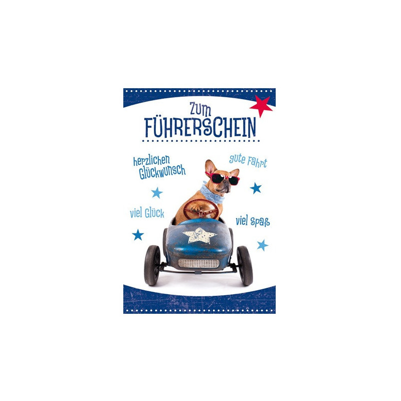 CARTE VOEUX BSB PERMIS