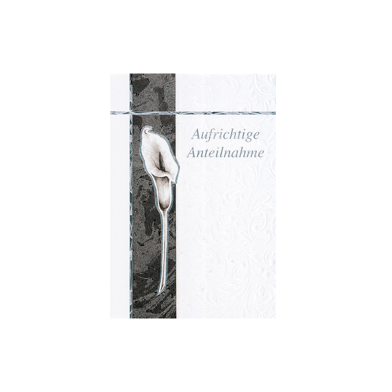 CARTE VOEUX BSB CONDOLEANCES