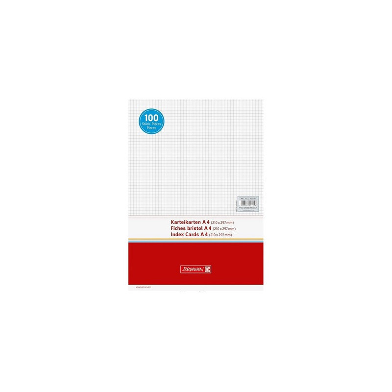 FICHE 210X297MM QUAD. BLANC 100PCS BRUNNEN (A4)