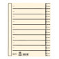 INTERCAL. A4 DECOUP. CART. CHAMOIS 100PCS LEITZ