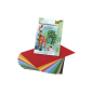 BLOC DESSIN COULEUR 297X420MM A3 130G 10FLS FOLIA