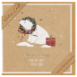 CARTE VOEUX NOEL BSB NATURE CARD