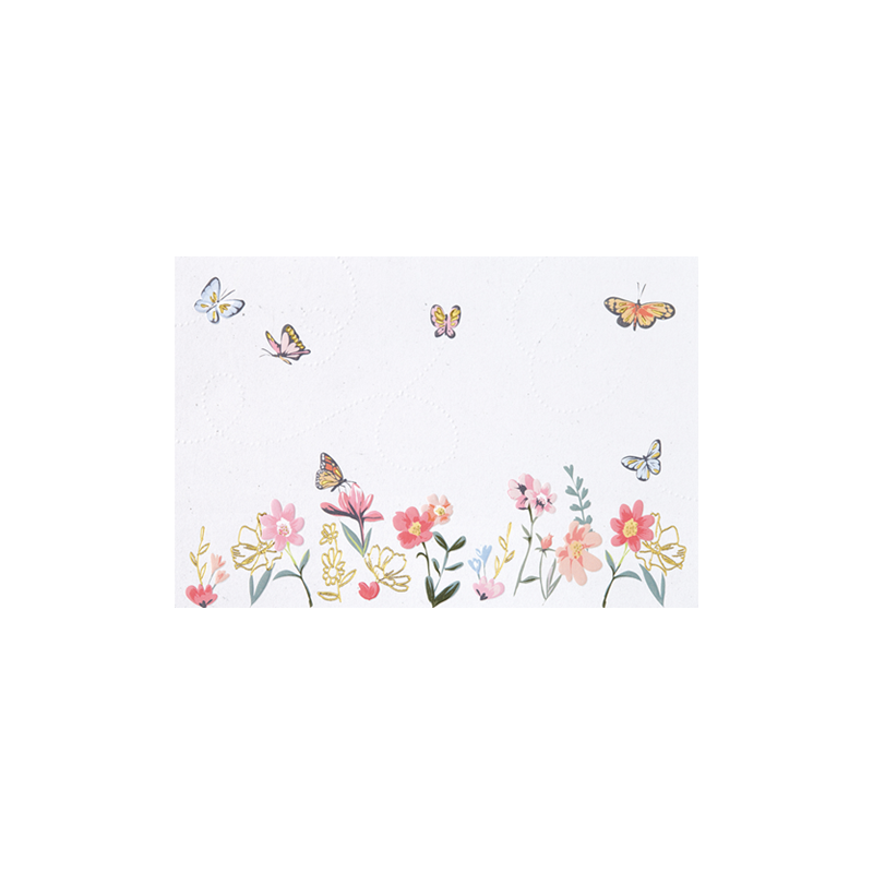 CARTE VOEUX BSB NATURE CARD SANS TEXTE