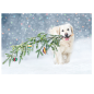 CARTE VOEUX NOEL BSB NATURE CARD