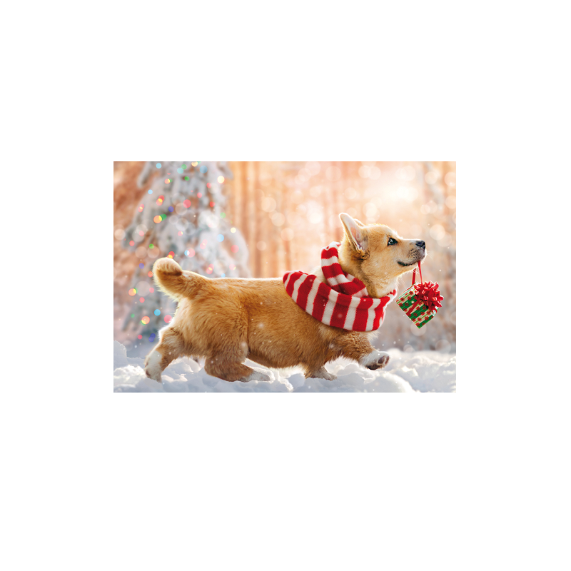 CARTE VOEUX NOEL BSB NATURE CARD